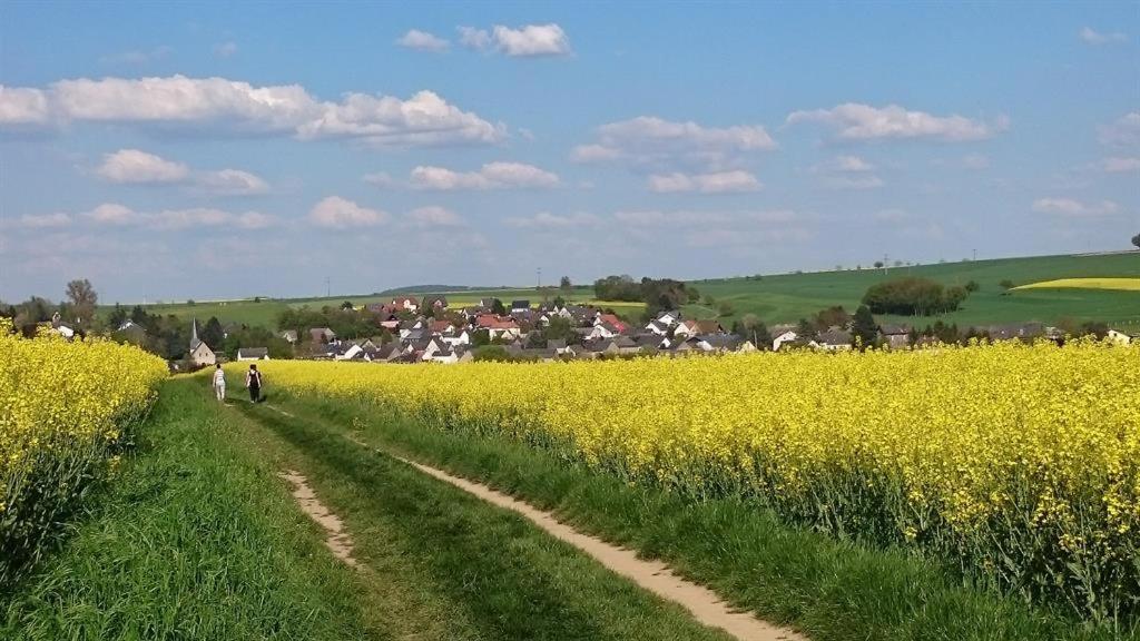 Ferienwohnung Maifeld วีร์เชม ภายนอก รูปภาพ