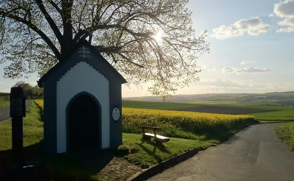 Ferienwohnung Maifeld วีร์เชม ภายนอก รูปภาพ