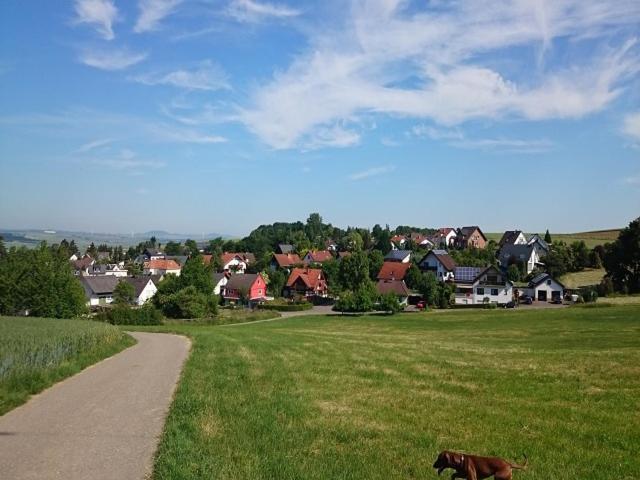 Ferienwohnung Maifeld วีร์เชม ภายนอก รูปภาพ